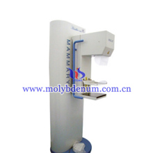 molybdenum target mammography image