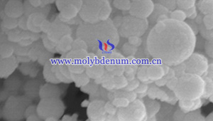 nano molybdenum powder SEM picture