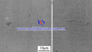 TZM alloy SEM picture