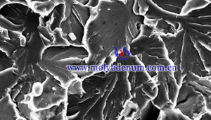 molybdenum alloy fracture SEM picture
