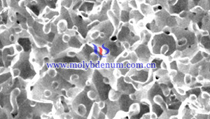 Fractura intergranular de la varilla de molibdeno SEM imagen