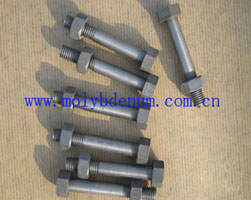 molybdenum screw