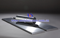 molybdenum target picture