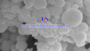 Nano molybdène poudre SEM image